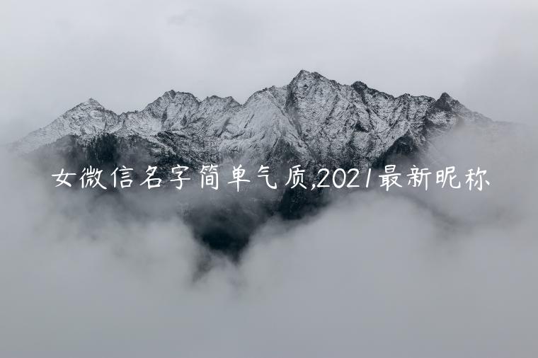 女微信名字简单气质,2021最新昵称